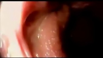 Internal Cumshot In Vagina - Continued